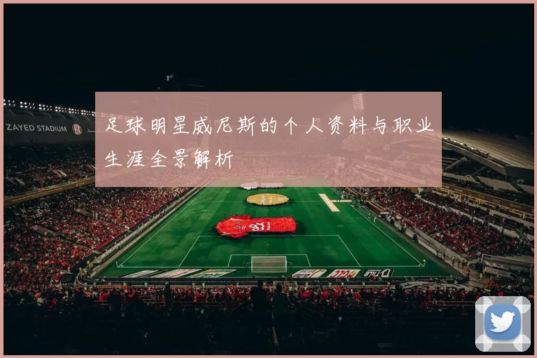 足球明星威尼斯的个人资料与职业生涯全景解析