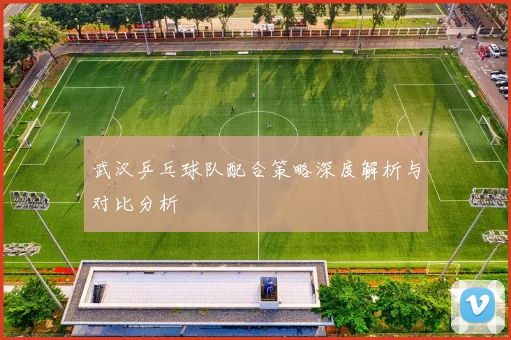 武汉乒乓球队配合策略深度解析与对比分析