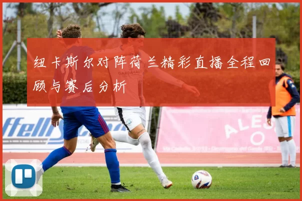 纽卡斯尔对阵荷兰精彩直播全程回顾与赛后分析