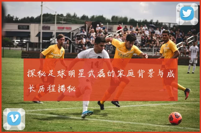 探秘足球明星武磊的家庭背景与成长历程揭秘