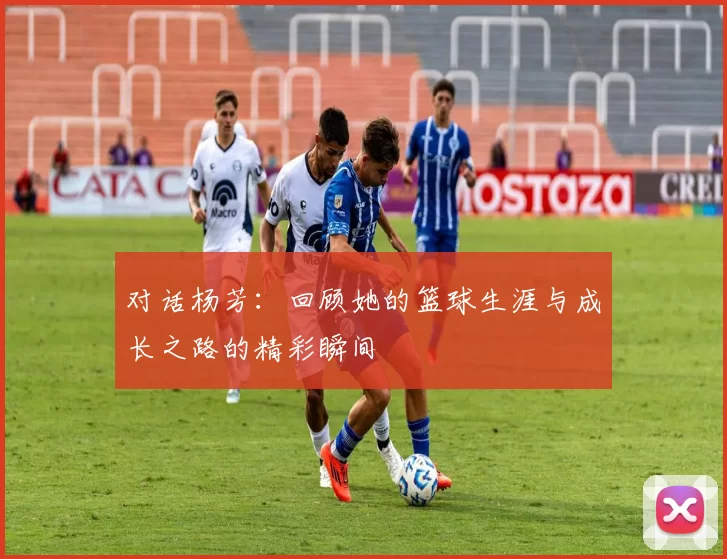 对话杨芳：回顾她的篮球生涯与成长之路的精彩瞬间