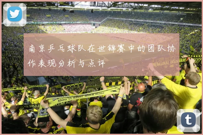 南京乒乓球队在世锦赛中的团队协作表现分析与点评