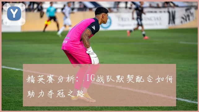 精英赛分析：IG战队默契配合如何助力夺冠之路