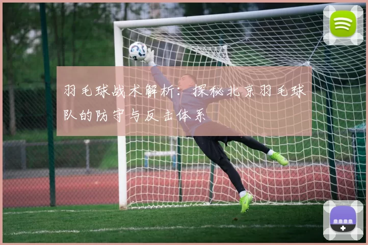 羽毛球战术解析：探秘北京羽毛球队的防守与反击体系