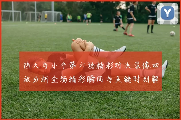 热火与小牛第六场精彩对决录像回放分析全场精彩瞬间与关键时刻解读