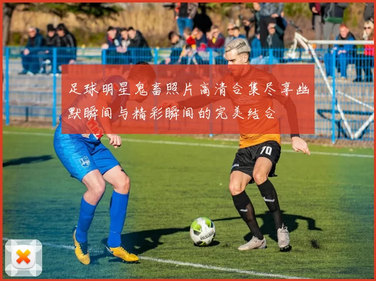 足球明星鬼畜照片高清合集尽享幽默瞬间与精彩瞬间的完美结合