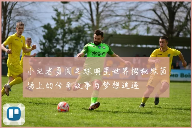 小记者勇闯足球明星世界揭秘绿茵场上的传奇故事与梦想追逐