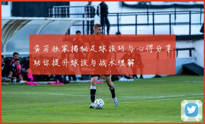 黄芳独家揭秘足球技巧与心得分享助你提升球技与战术理解