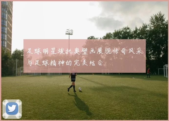 足球明星埃托奥壁画展现传奇风采与足球精神的完美结合