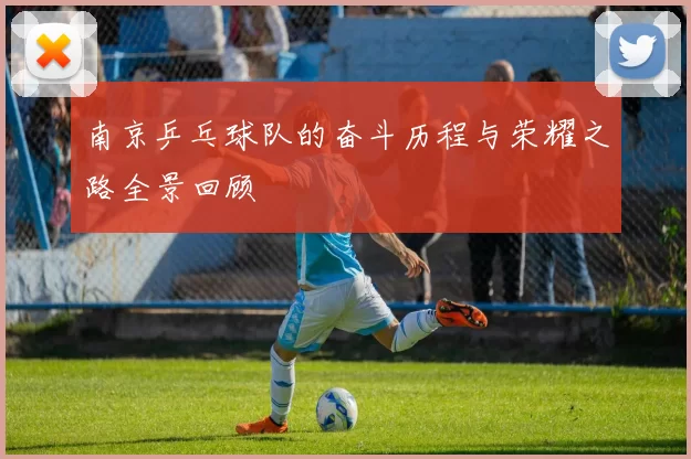 南京乒乓球队的奋斗历程与荣耀之路全景回顾