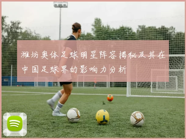 潍坊奥体足球明星阵容揭秘及其在中国足球界的影响力分析